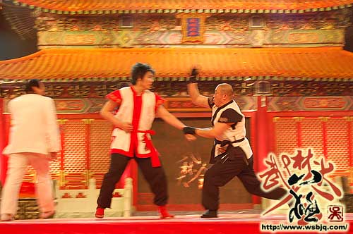 中华武术八极拳