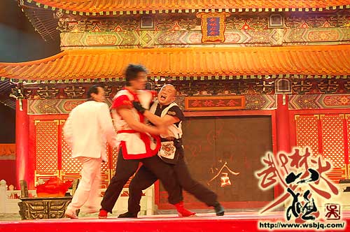 中华武术八极拳