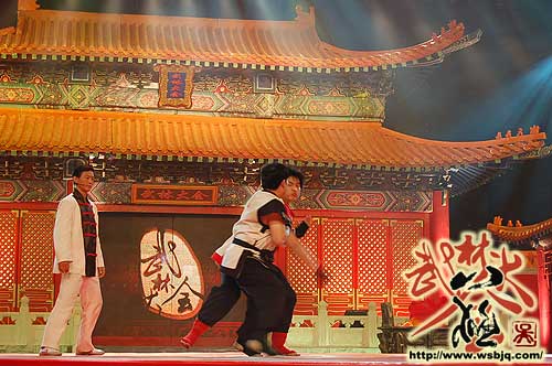 中华武术八极拳