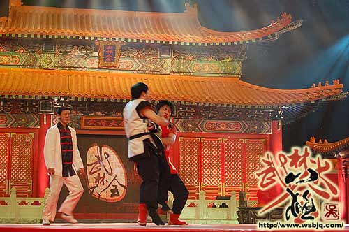 中华武术八极拳