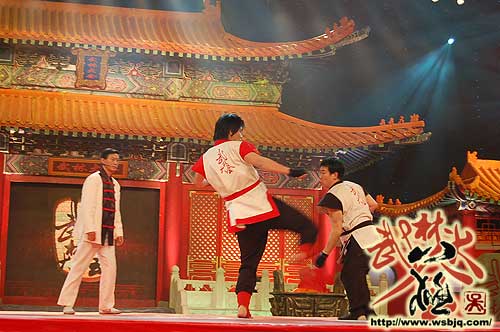 中华武术八极拳