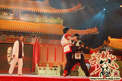 中华武术八极拳