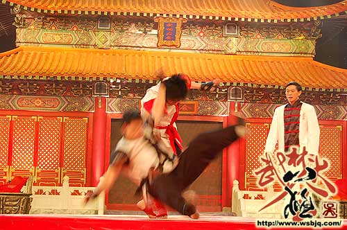 中华武术八极拳