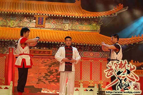 中华武术八极拳