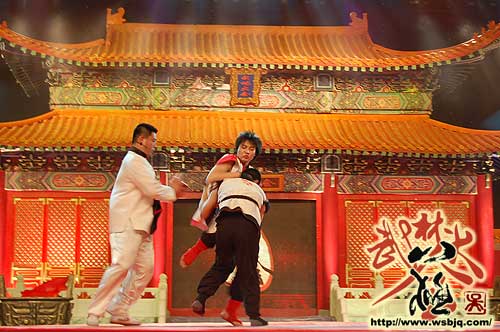 中华武术八极拳