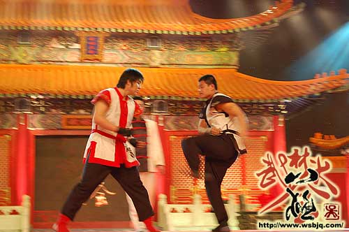 中华武术八极拳