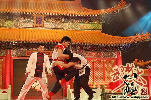 中华武术八极拳