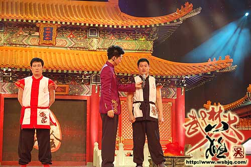 中华武术八极拳