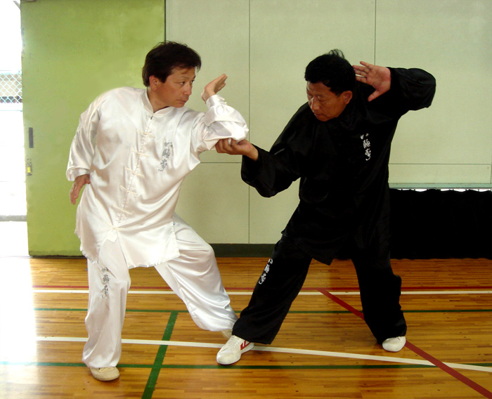 中华武术八极拳