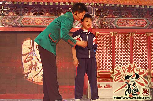 中华武术八极拳