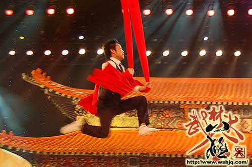 中华武术八极拳