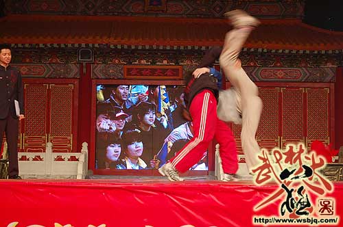 中华武术八极拳