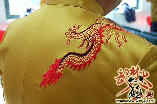 中华武术八极拳