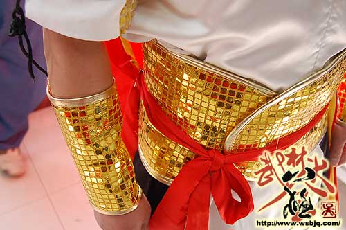 中华武术八极拳