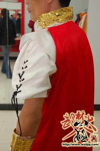 中华武术八极拳