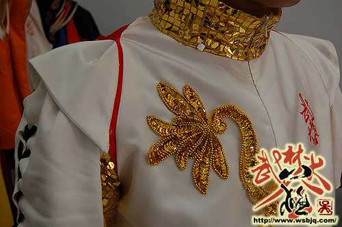 中华武术八极拳