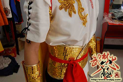 中华武术八极拳