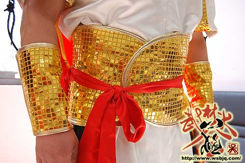 中华武术八极拳