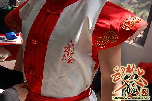 中华武术八极拳