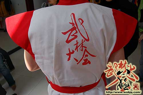 中华武术八极拳