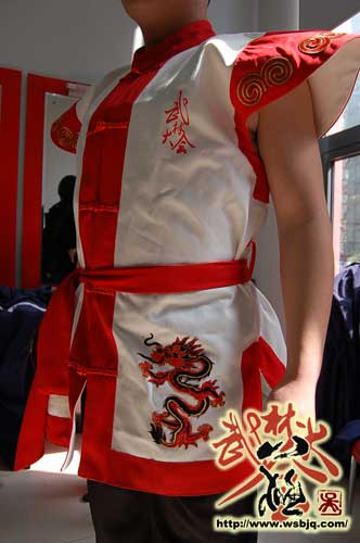 中华武术八极拳