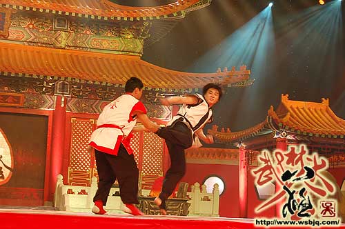 中华武术八极拳