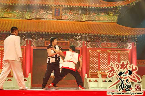 中华武术八极拳