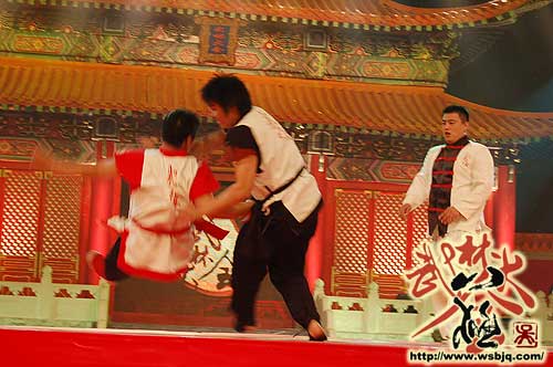 中华武术八极拳