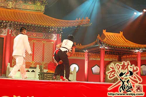 中华武术八极拳