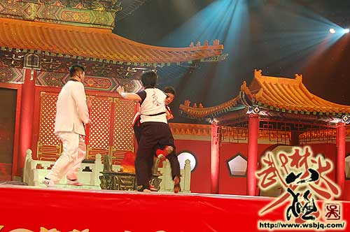 中华武术八极拳