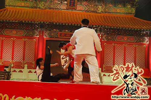 中华武术八极拳