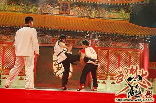 中华武术八极拳