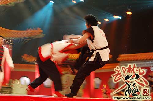 中华武术八极拳