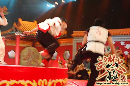 中华武术八极拳