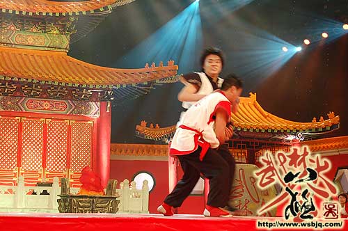 中华武术八极拳