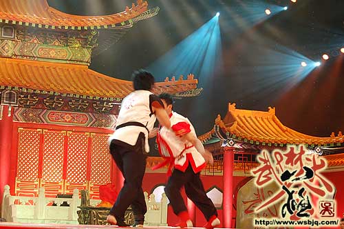 中华武术八极拳