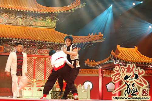 中华武术八极拳