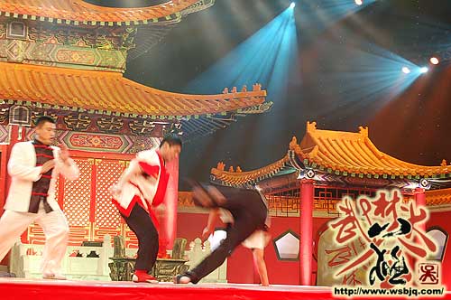 中华武术八极拳