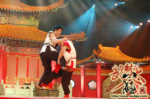 中华武术八极拳