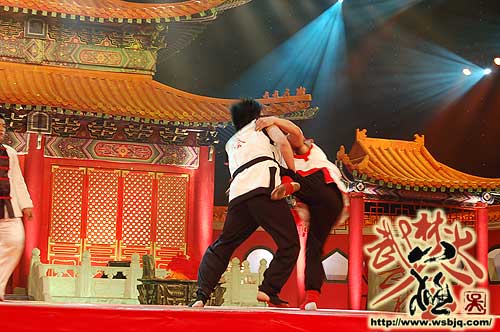 中华武术八极拳