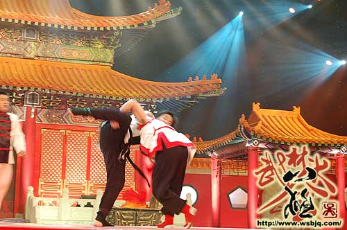 中华武术八极拳