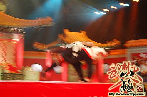 中华武术八极拳