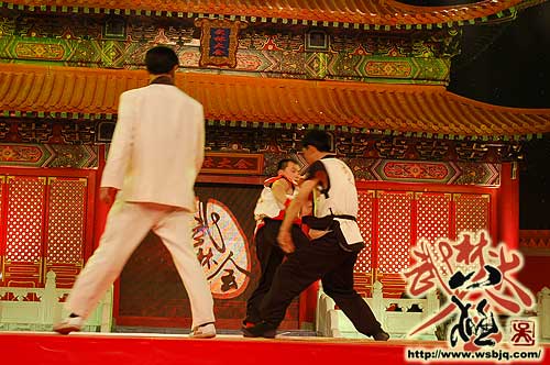 中华武术八极拳