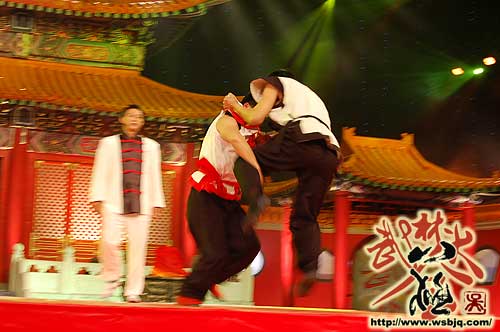 中华武术八极拳