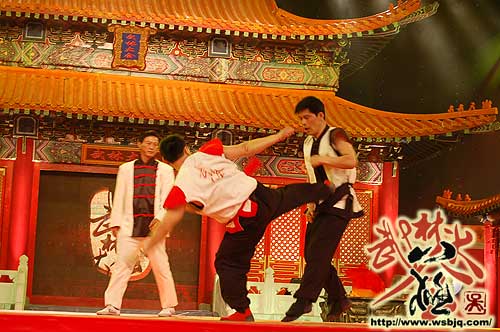 中华武术八极拳