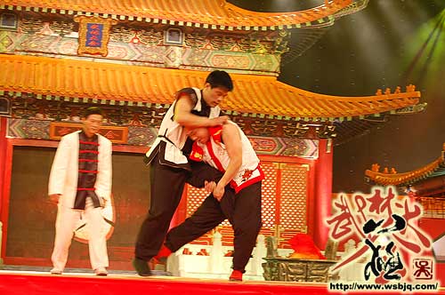 中华武术八极拳