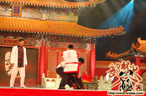 中华武术八极拳