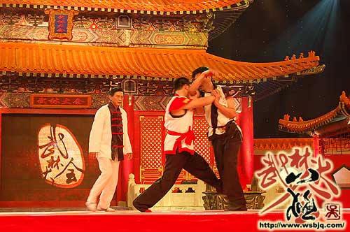 中华武术八极拳