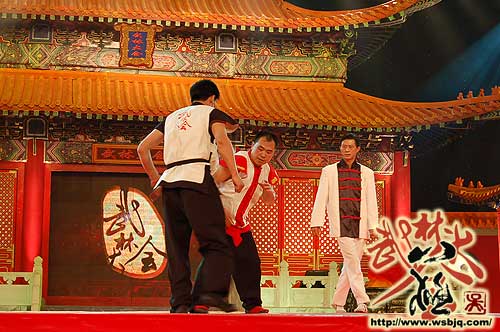 中华武术八极拳