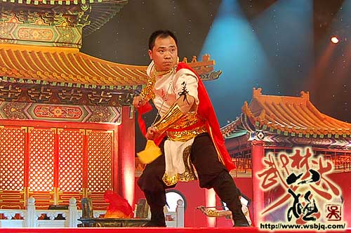 中华武术八极拳